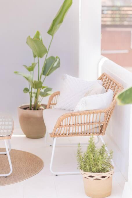 Downtown Flat With 46 Sqm Private Rooftop Terrace Màlaga Exteriér fotografie